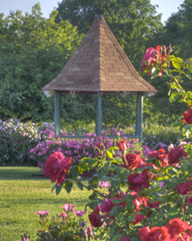 Maplewood Rose Garden (Photo: Maplewood.org)